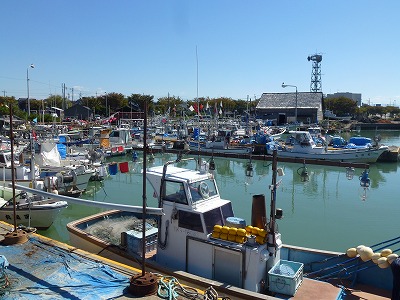 P1080416.jpg
