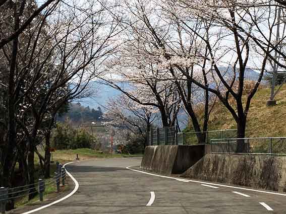 神山森林公園の「桜まつり」-02♪