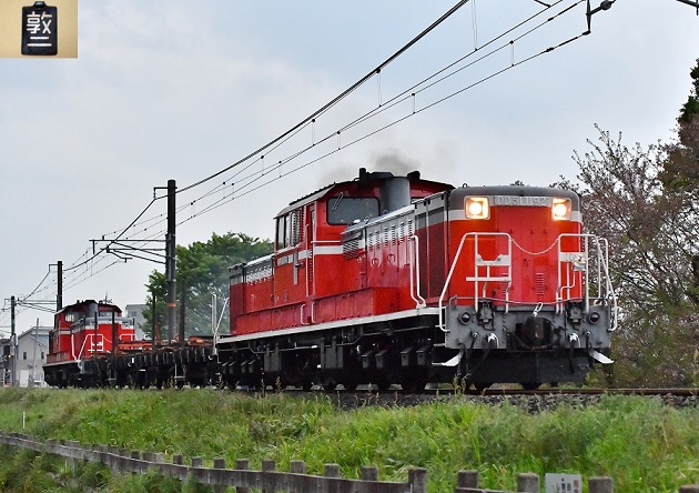DSC_1798.JPG