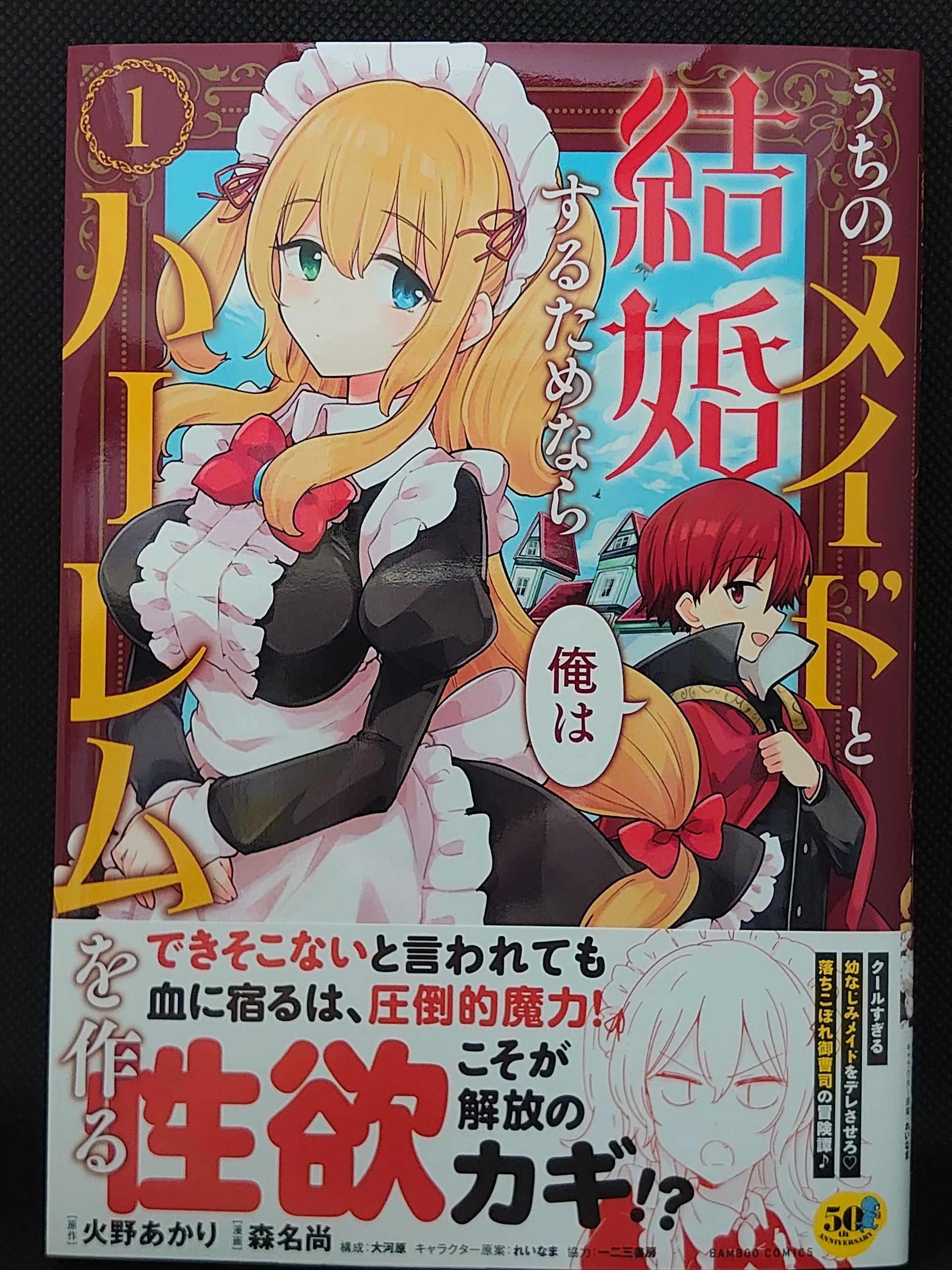 今日の１冊 ５４３日目 その５ うちのメイドと結婚するためなら俺は