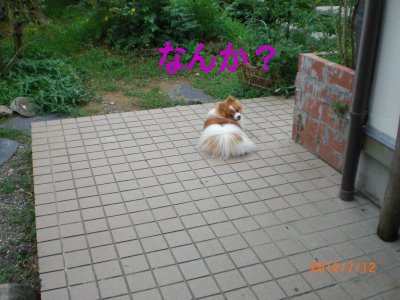 ティくんのんびり２