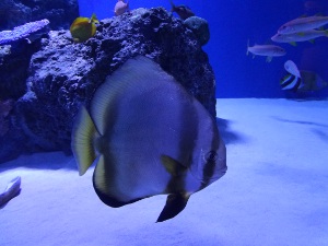 DSC01992.JPG