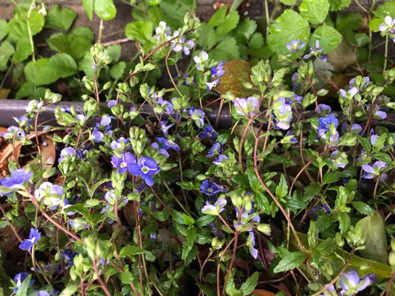 rblog-20190419194050-09.jpg
