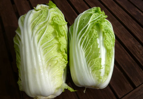 白菜２.jpg