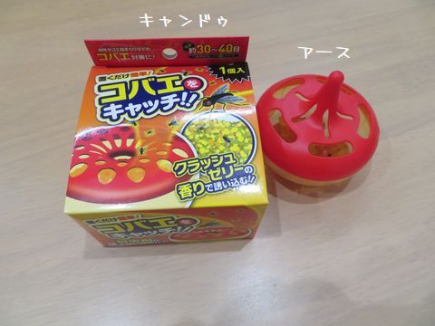 似て非なるもの キャンドゥのコバエキャッチ 青い島のひだまりで 楽天ブログ