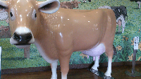 rblog-20130822190841-03.png