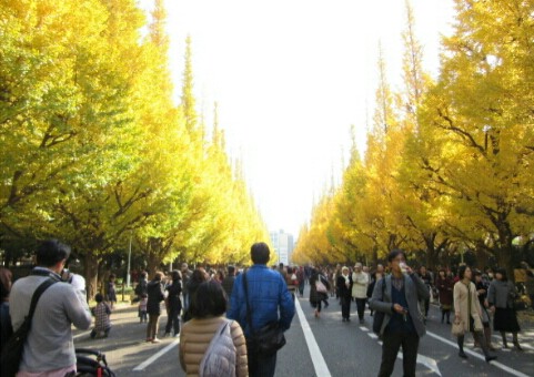 2014.11.26-2.jpg
