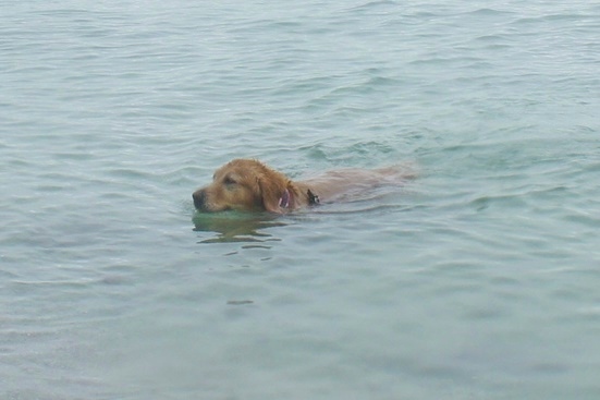 2013-1108-16.jpg