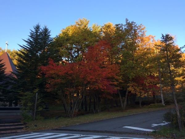 rblog-20151018062756-02.jpg