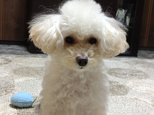 20141122_04.jpg