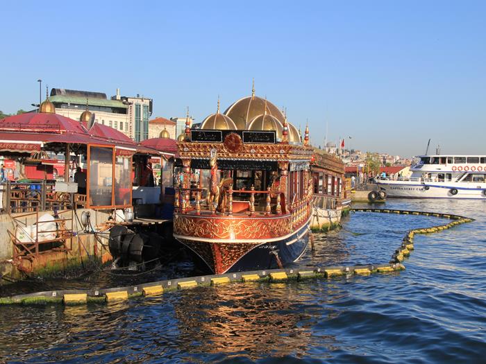 IMG_5482_R.JPG
