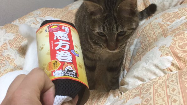 猫の恵方巻き２