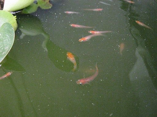 IMG_2375.JPG