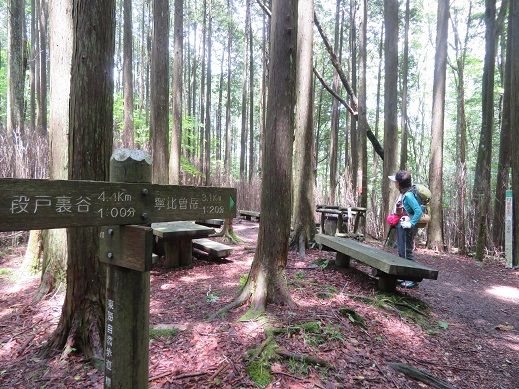 寧比曽岳・・・東海自然歩道がとおる山 | KIKIの山行き・・・ 山と山の花 - 楽天ブログ