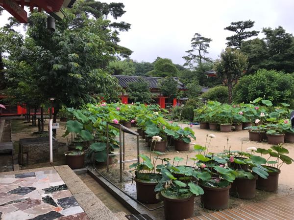 rblog-20170924203220-02.jpg