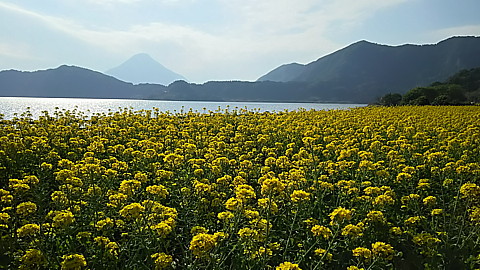 DSC_1228.jpg