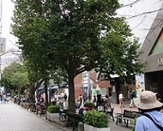 IMG_4389-16.jpg
