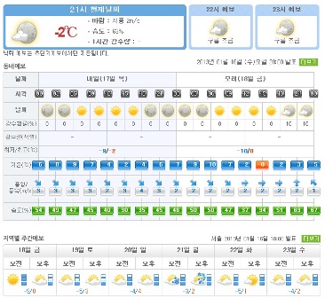 20130116 snow in seoul in the morning 3.jpg