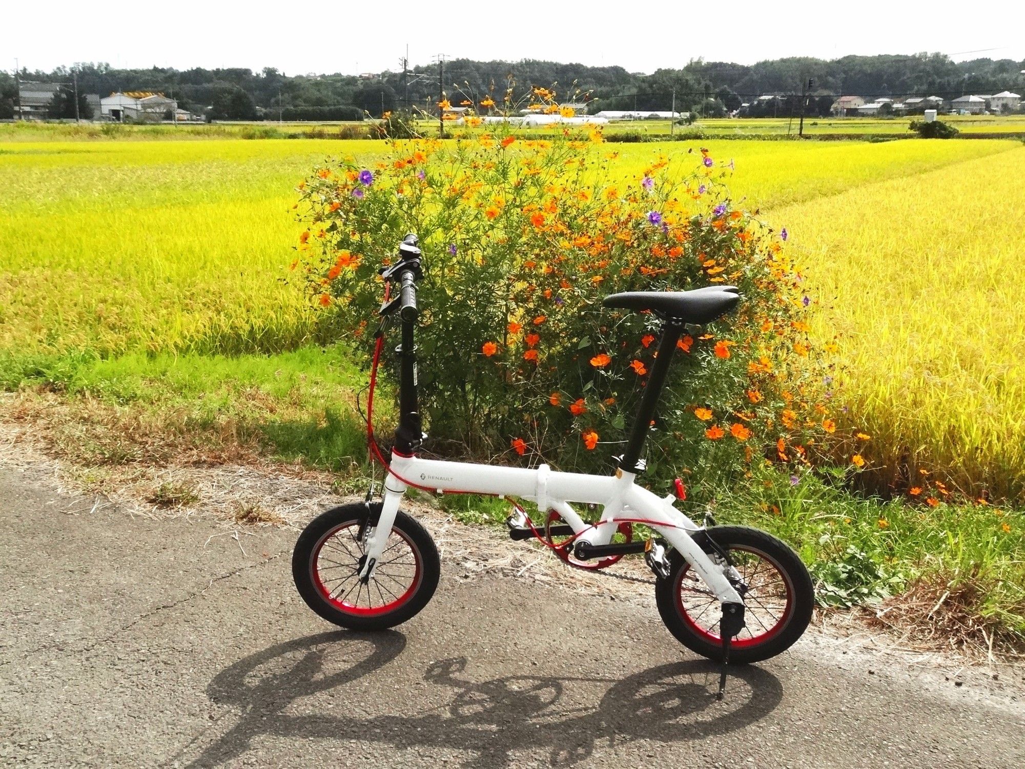 自転車 6km