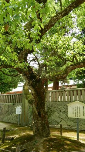 rblog-20170606183051-01.jpg