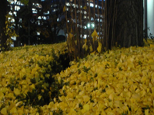 DSC02769_R.JPG