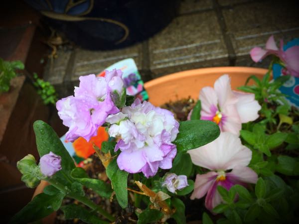 rblog-20150428161700-01.jpg