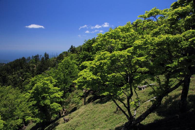 正木峠_004.jpg