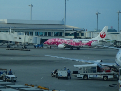 沖縄磯採集2014年9月中旬47　那覇空港