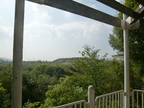 P1130265(1).JPG