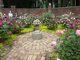 034-1.jpg