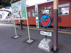 DSCN8860.jpg