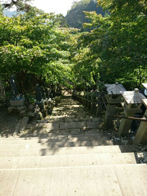 rblog-20170122000832-04.jpg