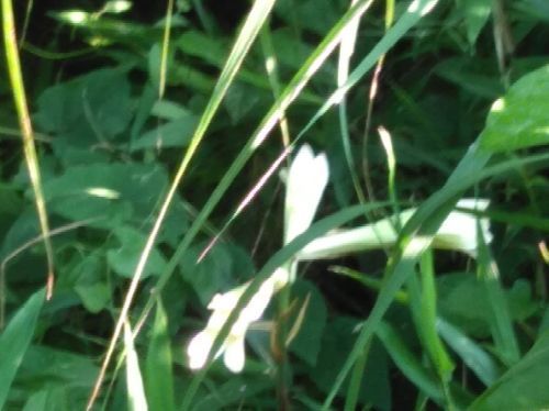 rblog-20180719184924-02.jpg