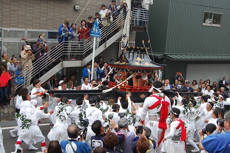 DSC_1084.jpg
