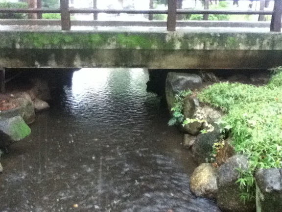 小松川境川親水公園13