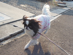 conv0003.JPG