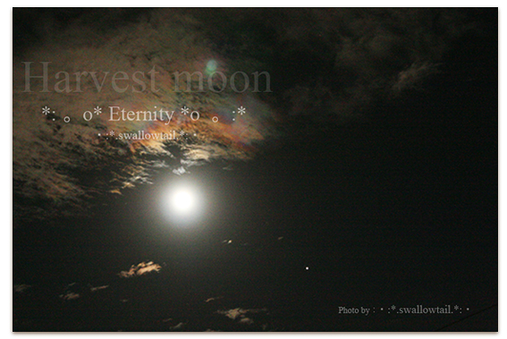 Photo by swallowtail　A.jpg