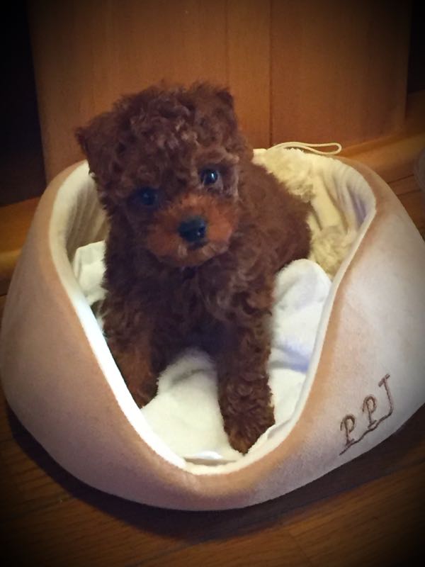 rblog-20151125221134-01.jpg