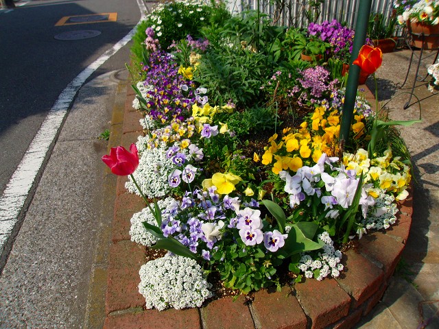 花壇.jpg