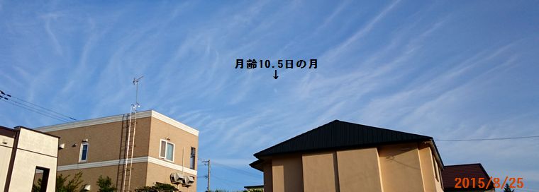 ８／２５絹雲.jpg