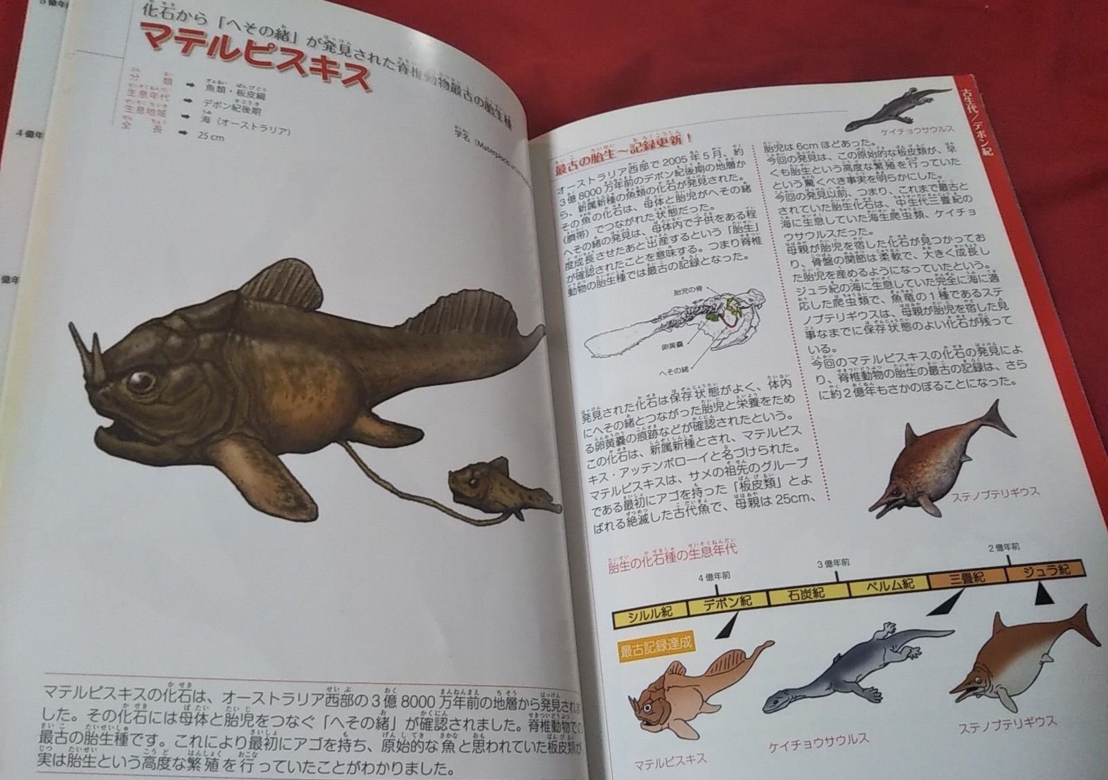 ｒ君が最近読んだ本 絶滅した奇妙な動物 ゆうのお料理日記 農業もやるよ ギフテッドの教育法も 楽天ブログ