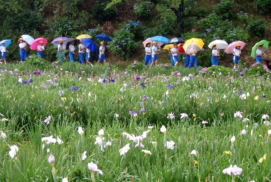 小学生の野外学習.JPG