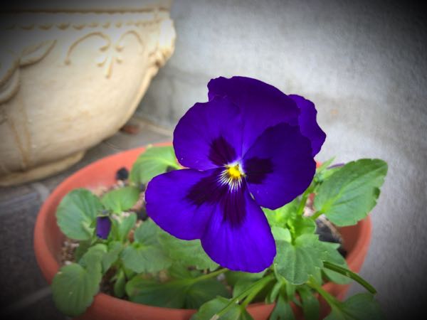 rblog-20161231163415-05.jpg
