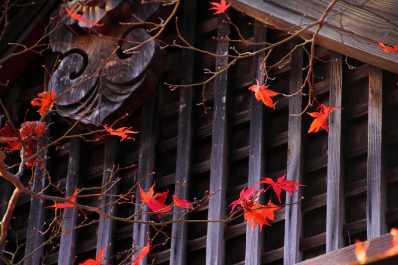 勝尾寺_5-3.jpg