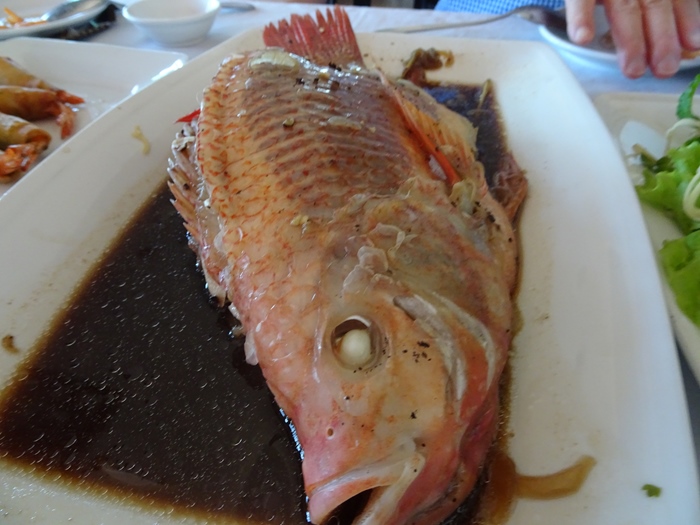 DSC00003 (1)_R.JPG