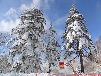 2012japan2.jpg