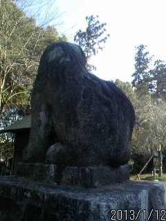 裏の狛犬さま４