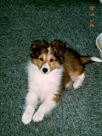 img119.jpg