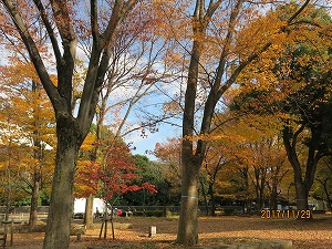 IMG_6075b.jpg