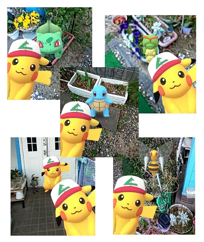 ポケモン 毎日更新 ぶはっ と笑える面白画像満載 ビンブタ好き 楽天ブログ